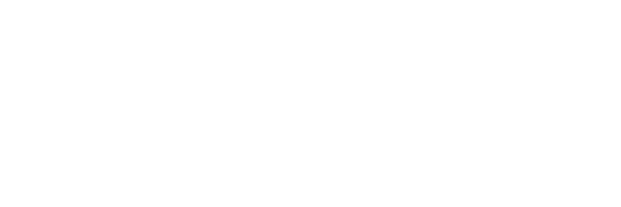 TeraInsight Media